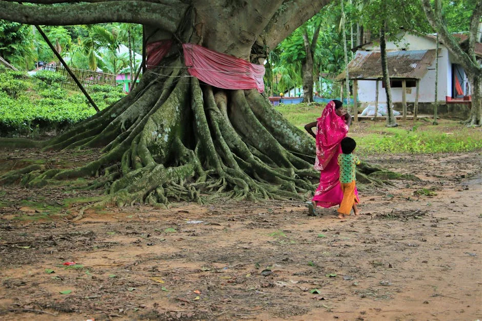 Photo by Faruk Hossain on Pexels