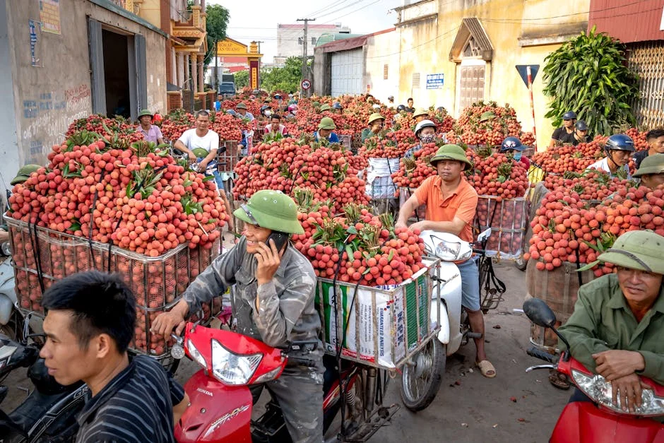 Photo by Quang Nguyen Vinh on Pexels
