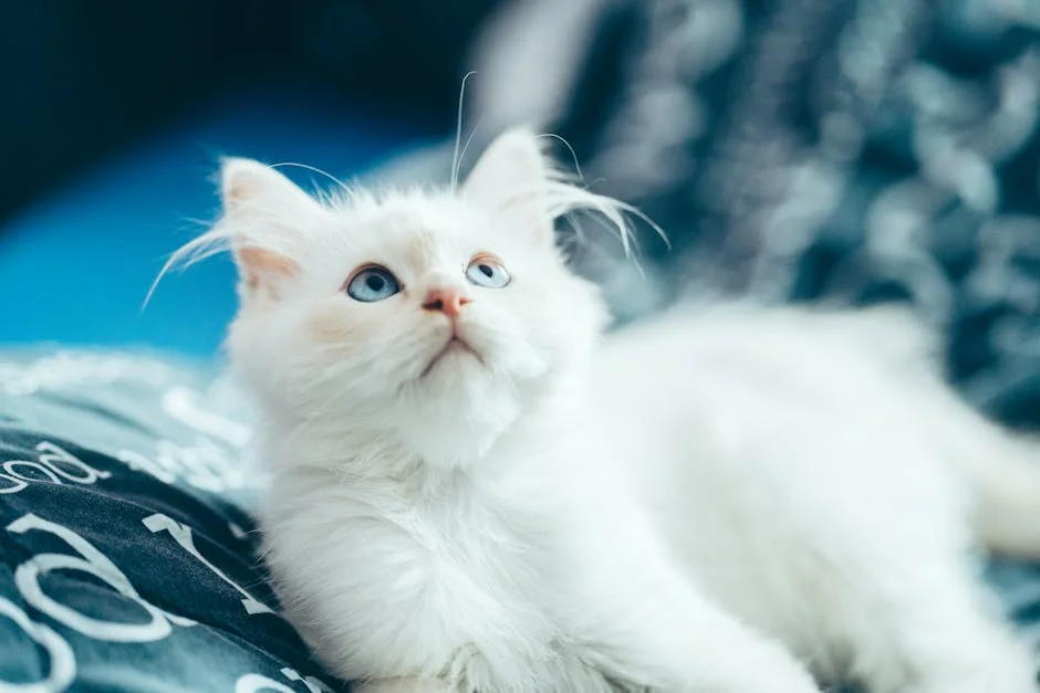 Photo by Omar Ramadan on Pexels