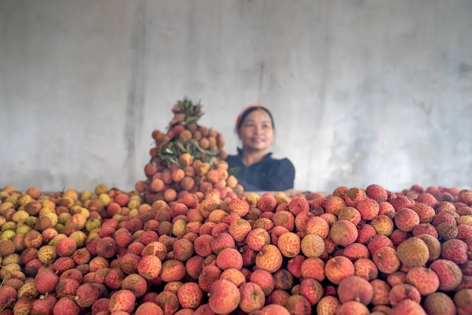 Photo by Quang Nguyen Vinh on Pexels