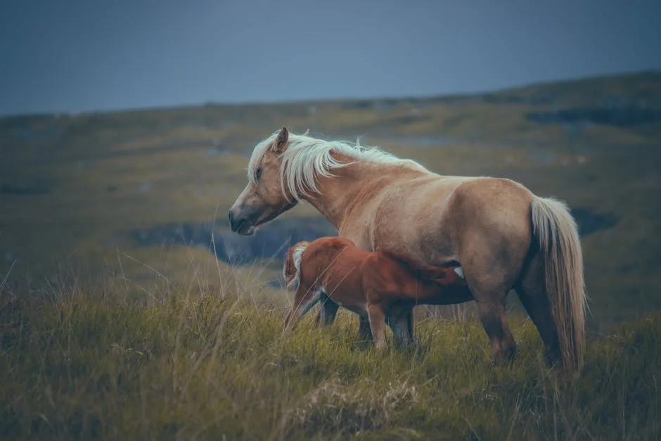 Photo by Boys in Bristol Photography on Pexels