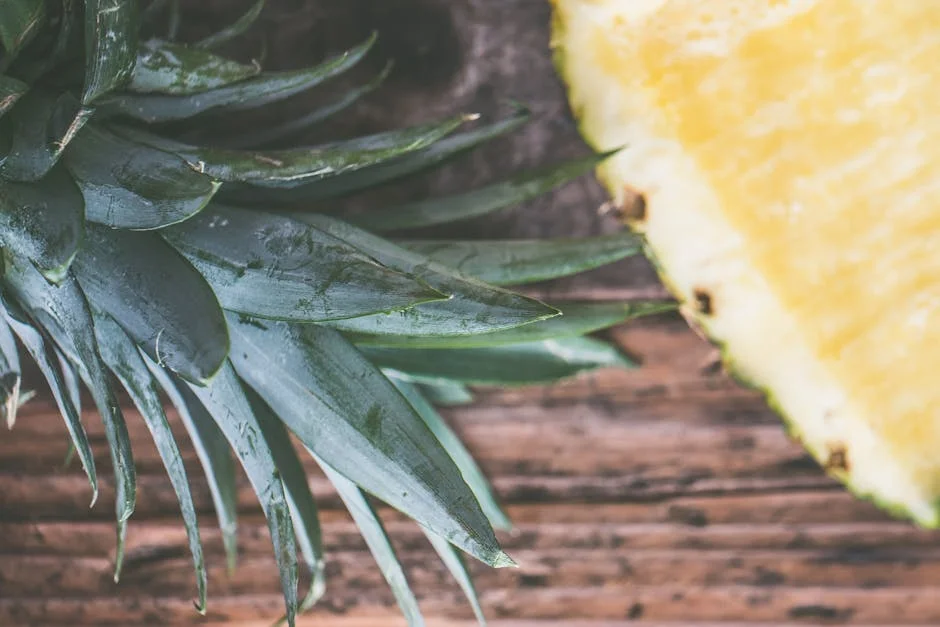 Photo by Jessica Lewis 🦋 thepaintedsquare on Pexels