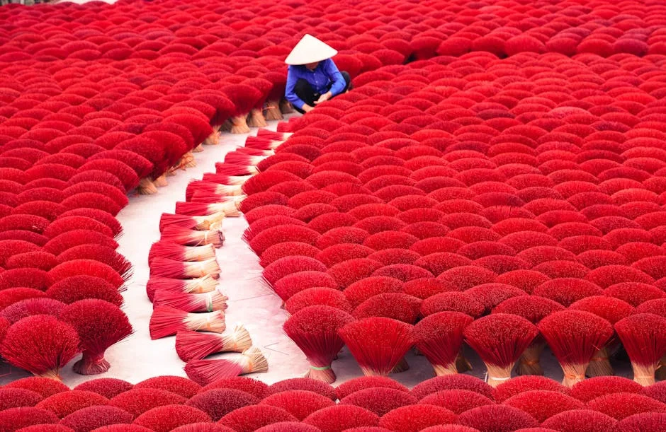 Photo by Trưởng Bản  Review on Pexels