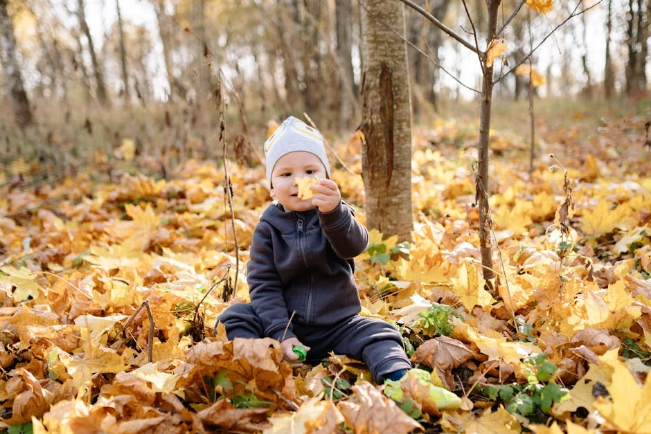 Photo by Yan Krukau on Pexels