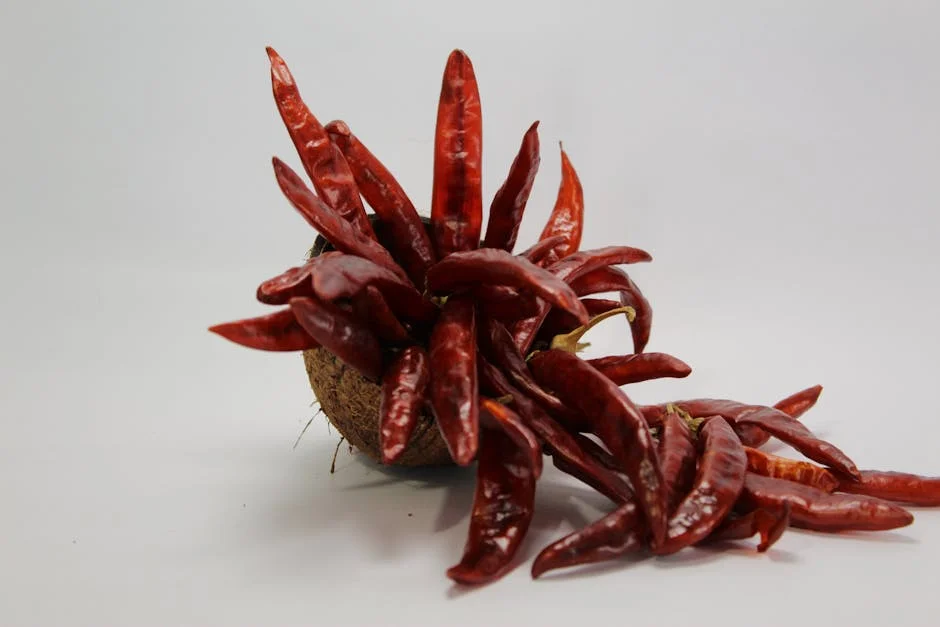 Photo by MURALI DHARAN on Pexels