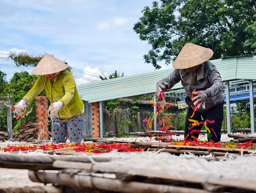 Photo by Trưởng Bản  Review on Pexels