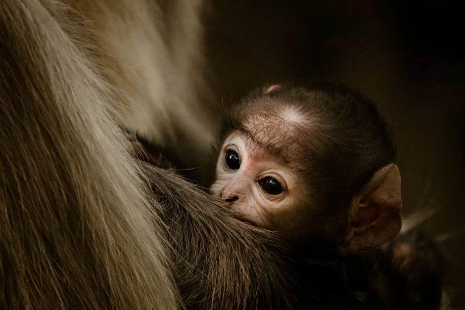 Photo by Rahul Pandit on Pexels