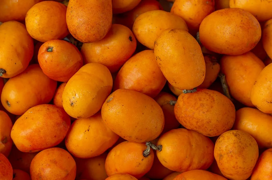 Photo by Márcio  Carvalho on Pexels