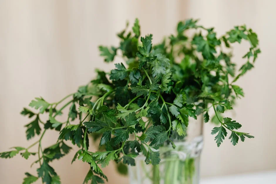 Photo by Karola G on Pexels