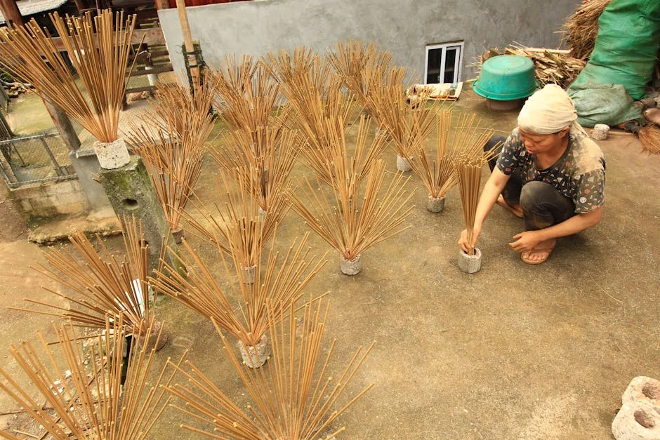 Photo by Trưởng Bản  Review on Pexels