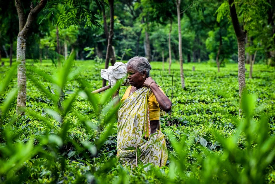 Photo by Sayan Ghosh on Pexels