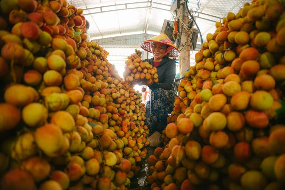 Photo by HONG SON on Pexels