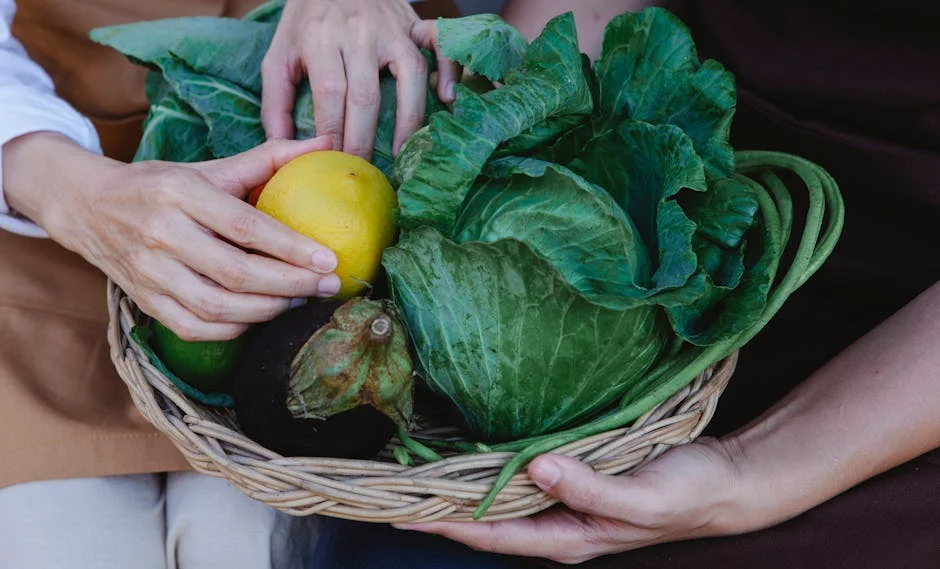 Photo by Antonius Ferret on Pexels