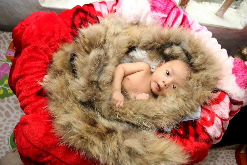 Photo by Green odette on Pexels