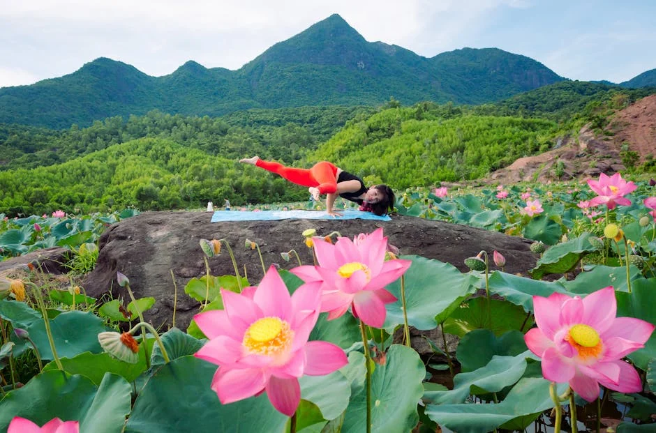 Photo by Võ Văn Tiến on Pexels