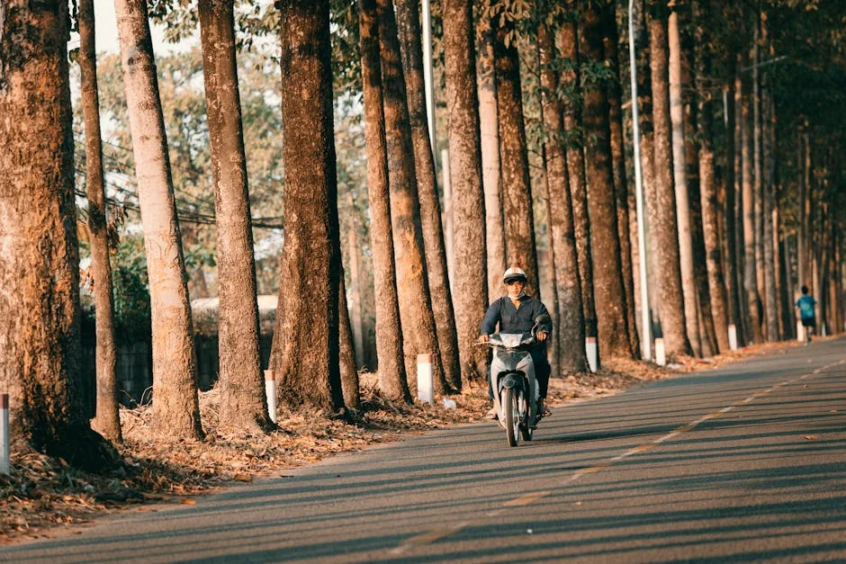 Photo by 🇻🇳🇻🇳Nguyễn Tiến Thịnh 🇻🇳🇻🇳 on Pexels