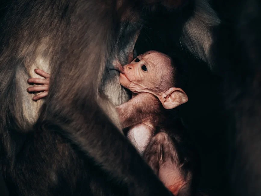 Photo by Renjith Tomy Pkm on Pexels