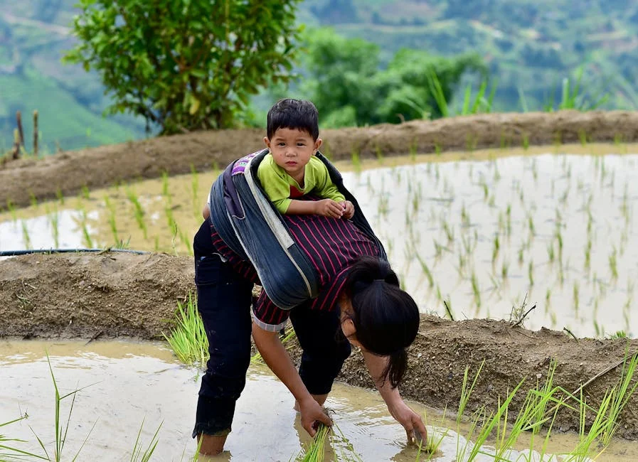 Photo by Vietnam  Hidden Light on Pexels