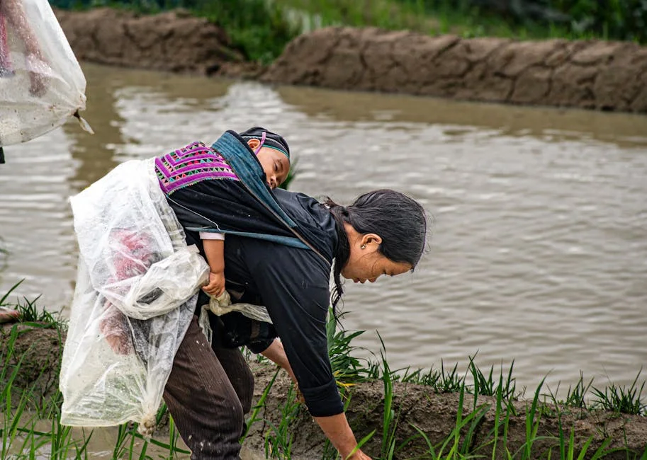 Photo by Vietnam  Hidden Light on Pexels