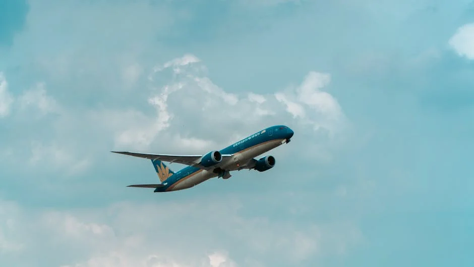 Photo by Phát Trương on Pexels