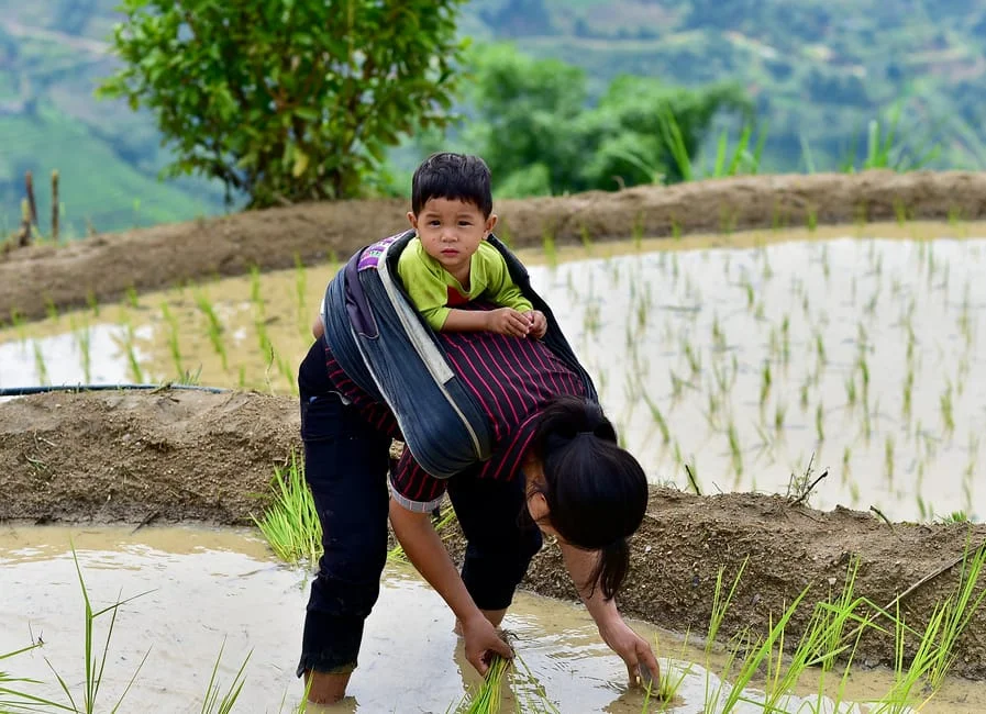 Photo by Vietnam  Hidden Light on Pexels