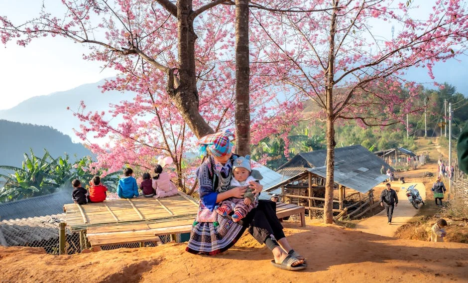 Photo by Quang Nguyen Vinh on Pexels