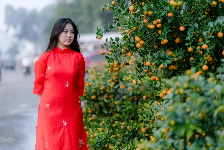 Photo by 🇻🇳🇻🇳Nguyễn Tiến Thịnh 🇻🇳🇻🇳 on Pexels