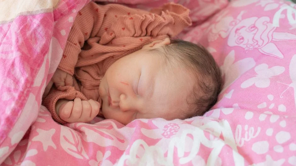 Photo by Peter Platou on Pexels