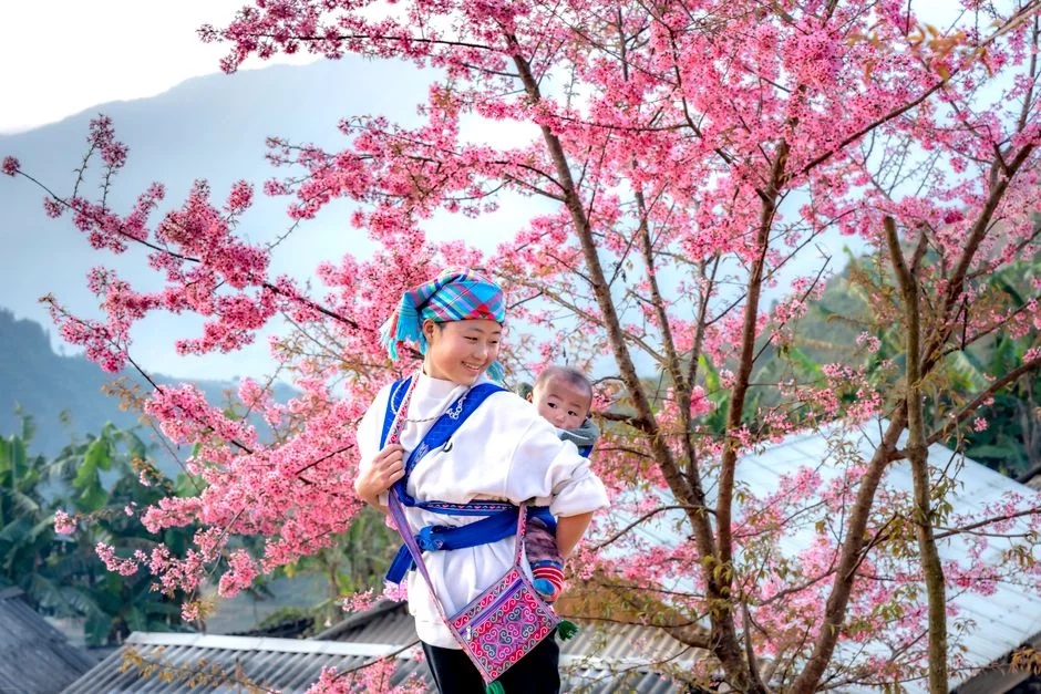 Photo by Quang Nguyen Vinh on Pexels