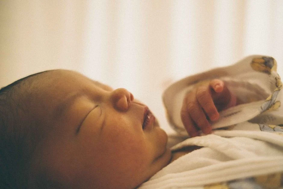 Photo by fuko kanbara on Pexels