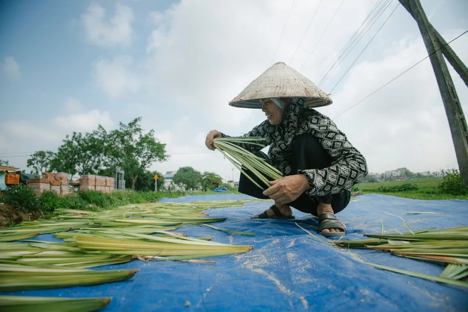 Photo by HONG SON on Pexels