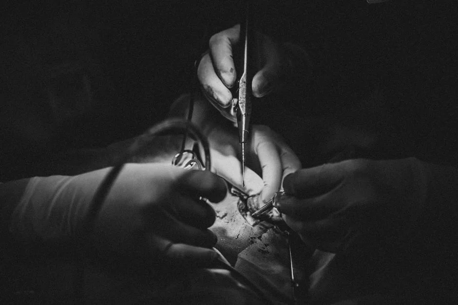 Photo by Hồng Xuân Viên on Pexels