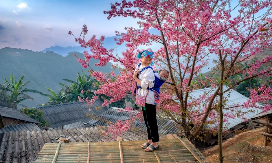 Photo by Quang Nguyen Vinh on Pexels