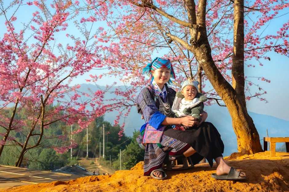 Photo by Quang Nguyen Vinh on Pexels