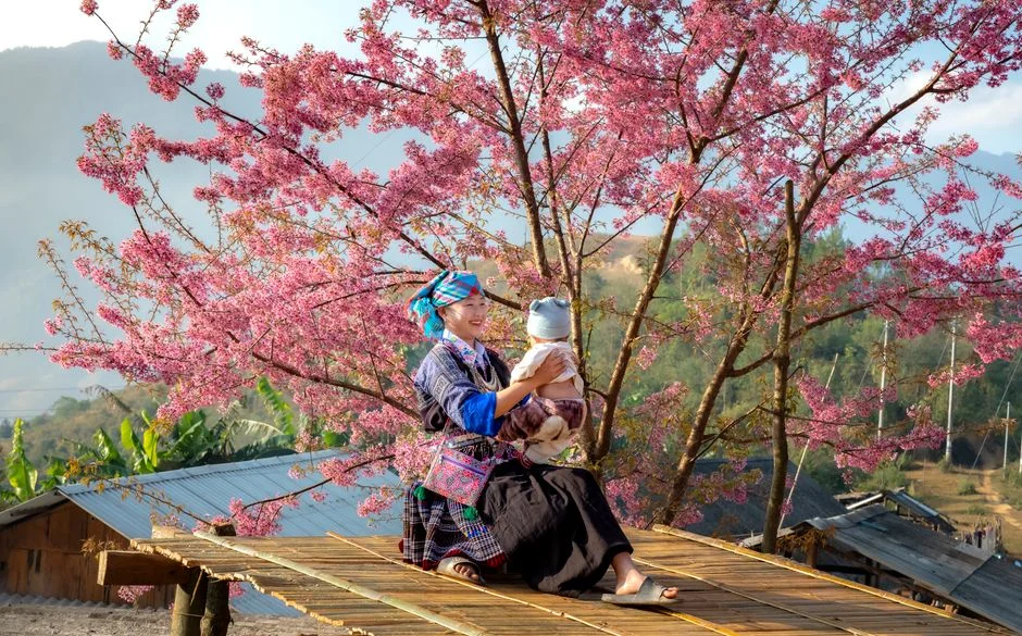 Photo by Quang Nguyen Vinh on Pexels