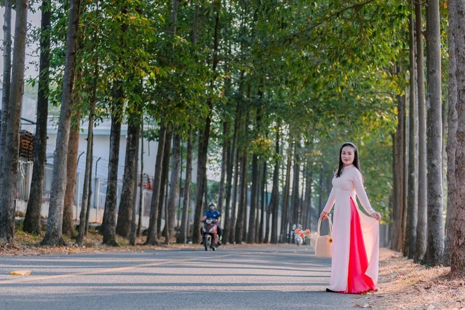 Photo by 🇻🇳🇻🇳Nguyễn Tiến Thịnh 🇻🇳🇻🇳 on Pexels