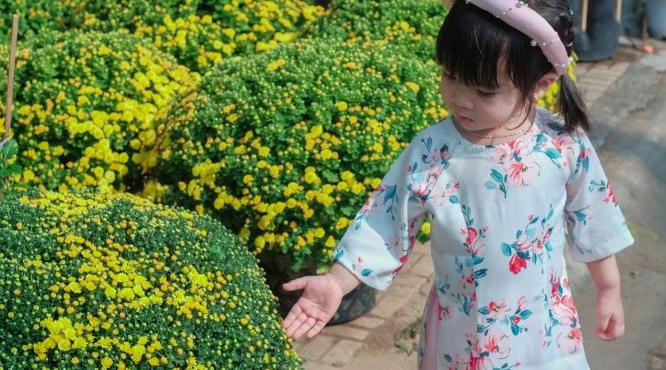 Photo by Cao Huy on Pexels