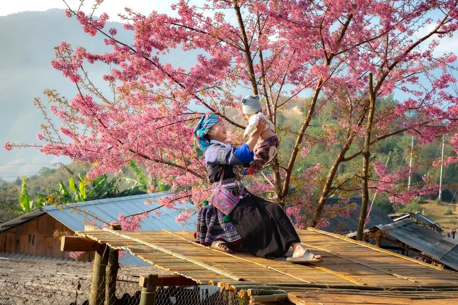 Photo by Quang Nguyen Vinh on Pexels
