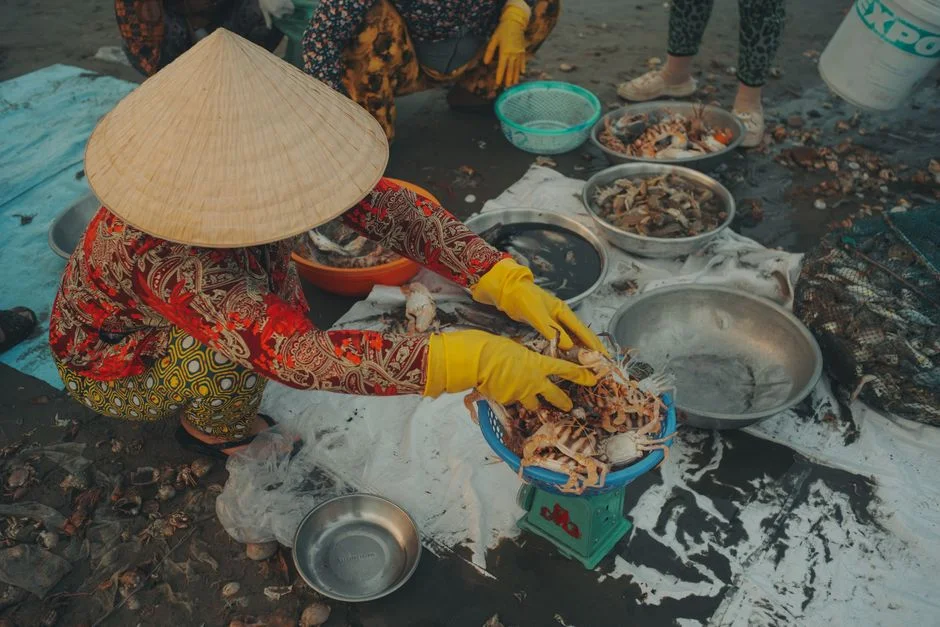 Photo by Long Bà Mùi on Pexels