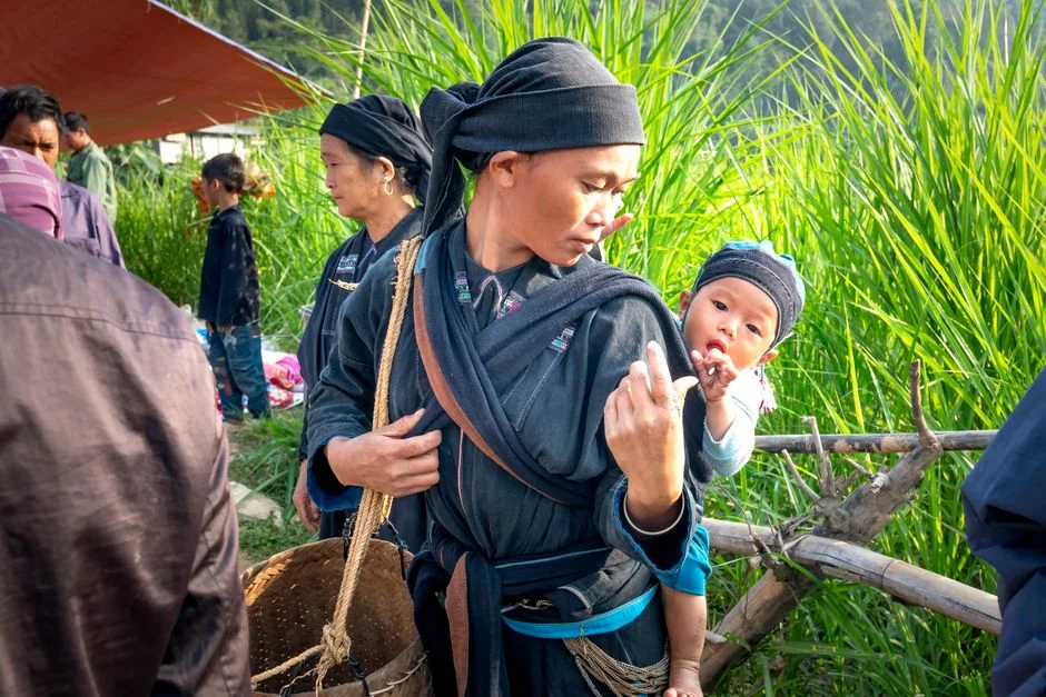 Photo by Quang Nguyen Vinh on Pexels