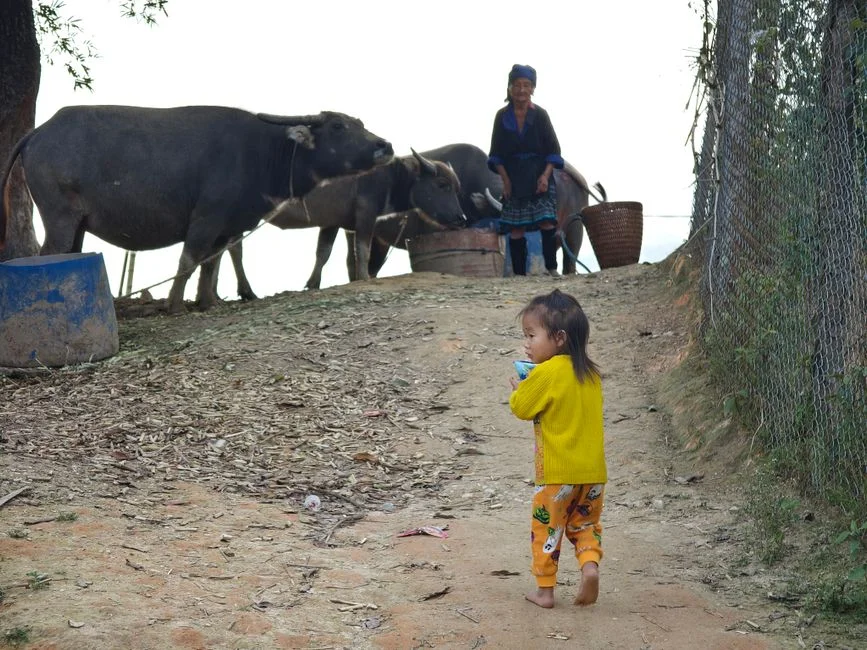 Photo by Vietnam  Hidden Light on Pexels