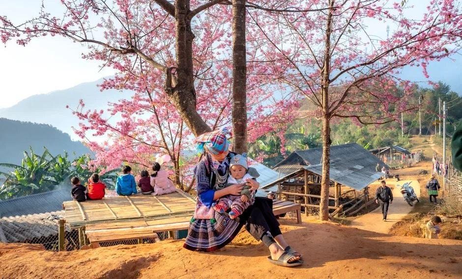 Photo by Quang Nguyen Vinh on Pexels