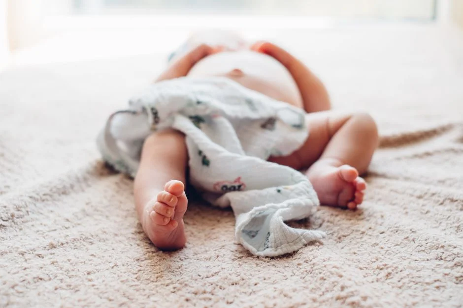 Photo by freestocks.org on Pexels