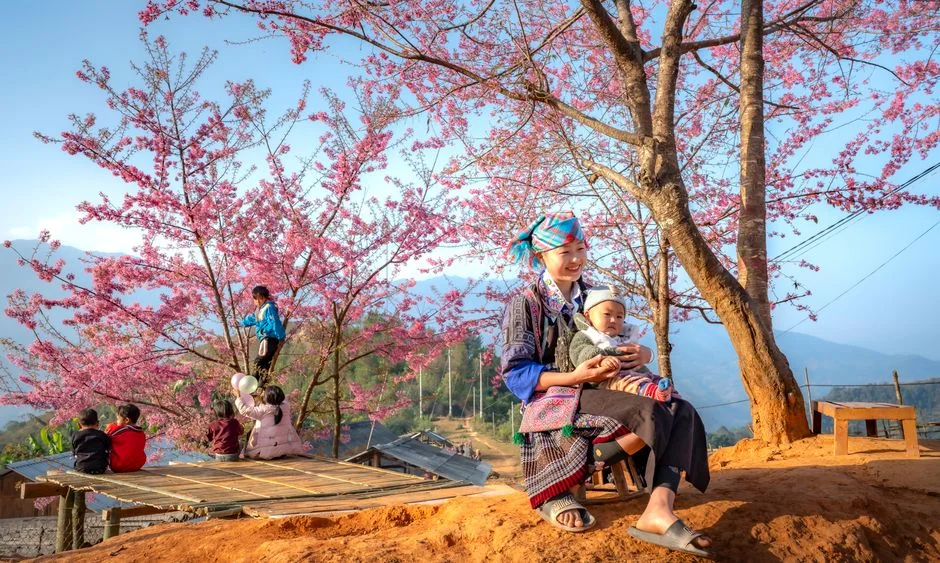 Photo by Quang Nguyen Vinh on Pexels