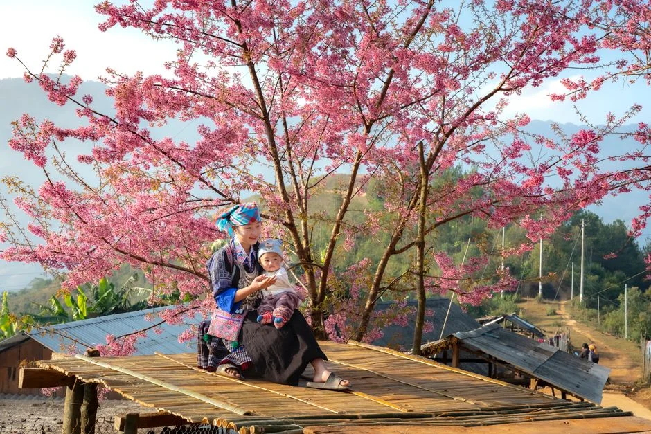 Photo by Quang Nguyen Vinh on Pexels