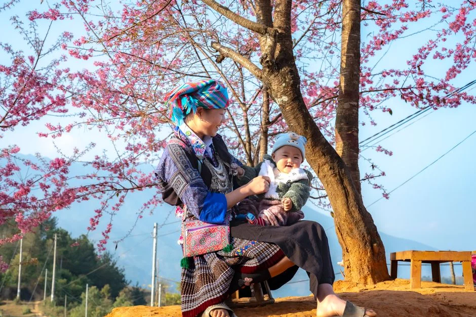 Photo by Quang Nguyen Vinh on Pexels