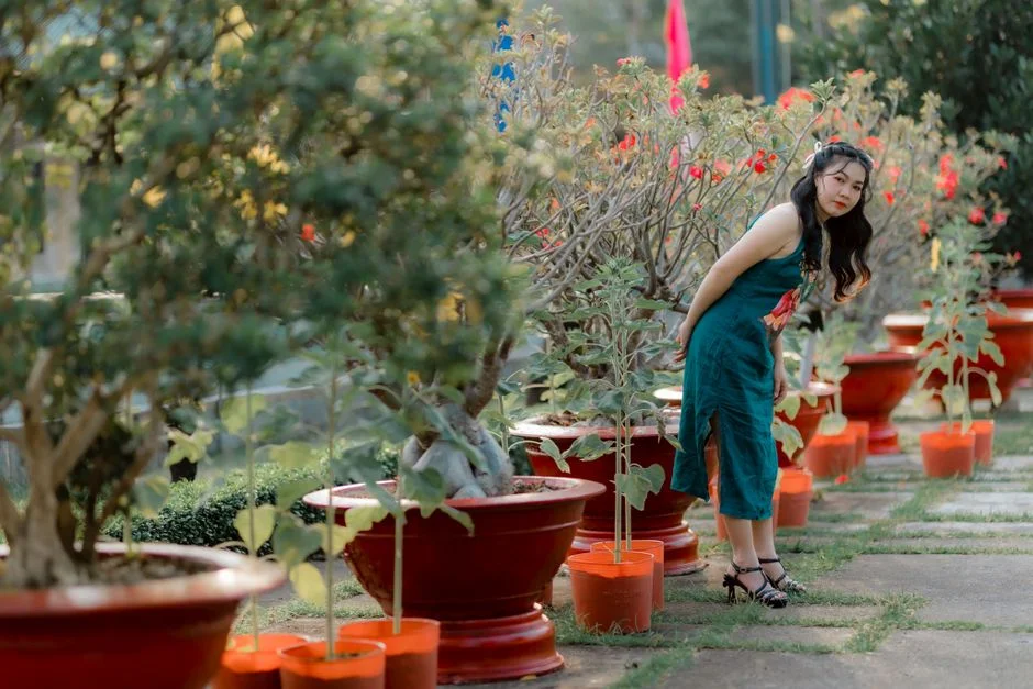 Photo by 🇻🇳🇻🇳Nguyễn Tiến Thịnh 🇻🇳🇻🇳 on Pexels