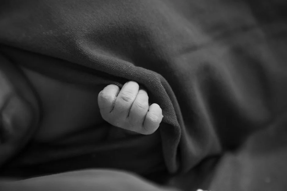 Photo by Hannah Barata on Pexels