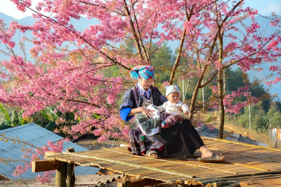 Photo by Quang Nguyen Vinh on Pexels