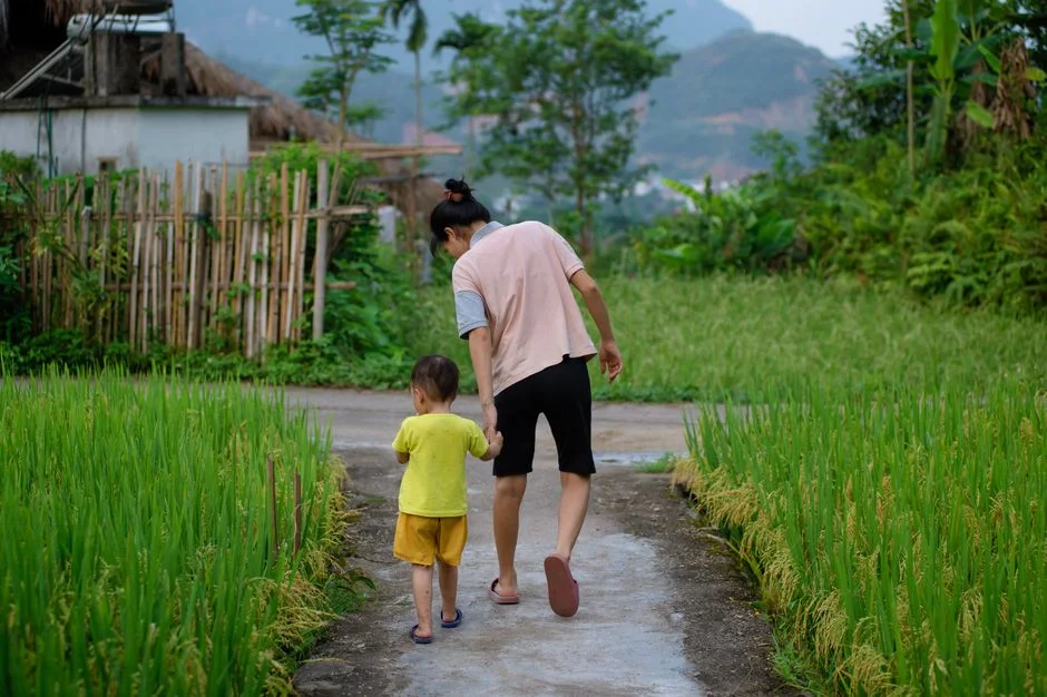 Photo by Vietnam  Hidden Light on Pexels